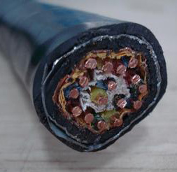 鋼帶鎧裝計算機電纜